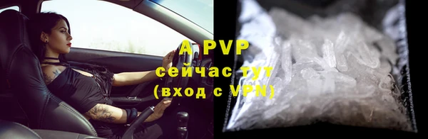 сатива Белоозёрский