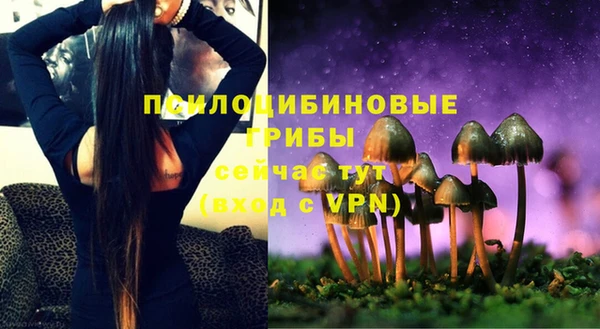 jwh Белокуриха