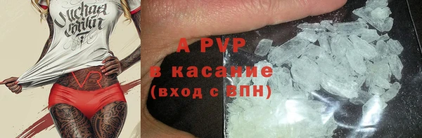 сатива Белоозёрский