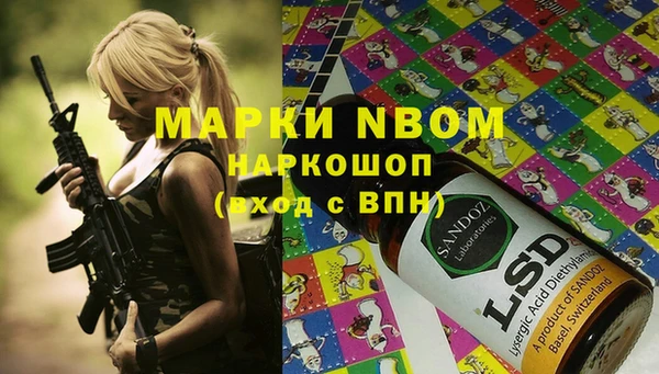 сатива Белоозёрский