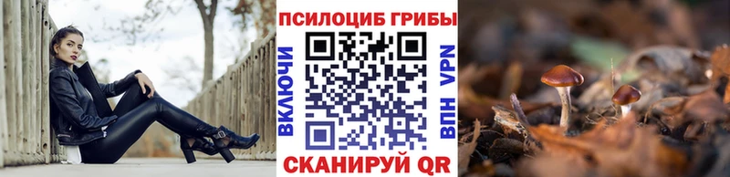 Галлюциногенные грибы ЛСД  Электроугли 