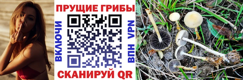 Галлюциногенные грибы мухоморы Электроугли